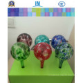 Glass Plant/Flower Globes/Watering Globes for Garden Watering